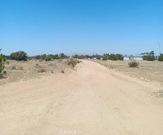 a view of a dry field
