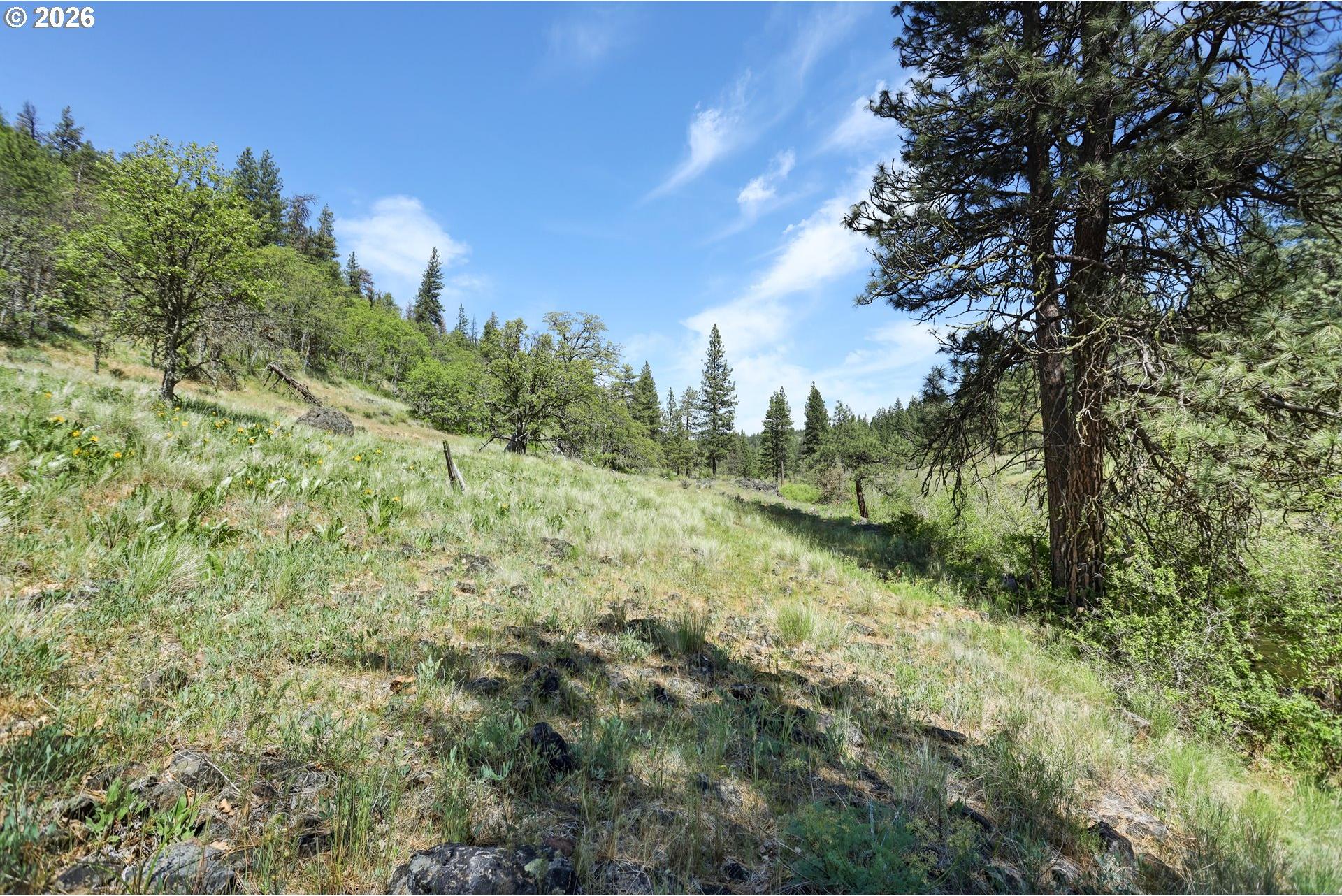 0 Thompson Trail Goldendale, WA 98620 - Photo 19 of 40 Gallery Image 19
