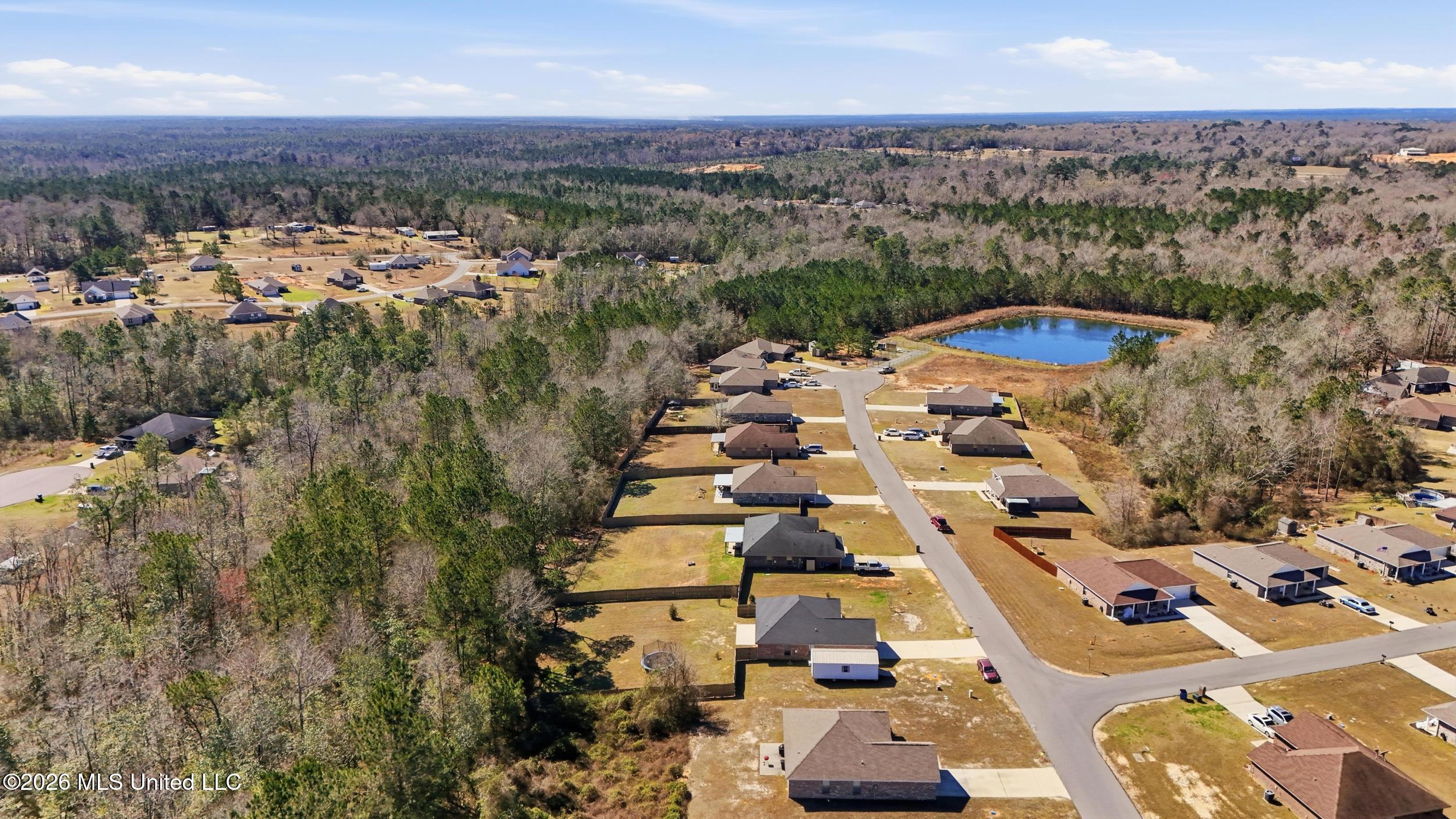 47 Summit View Drive Perkinston, MS 39573 - Photo 29 of 30 8_038_dji_20260223112034_0208_d_autoremo