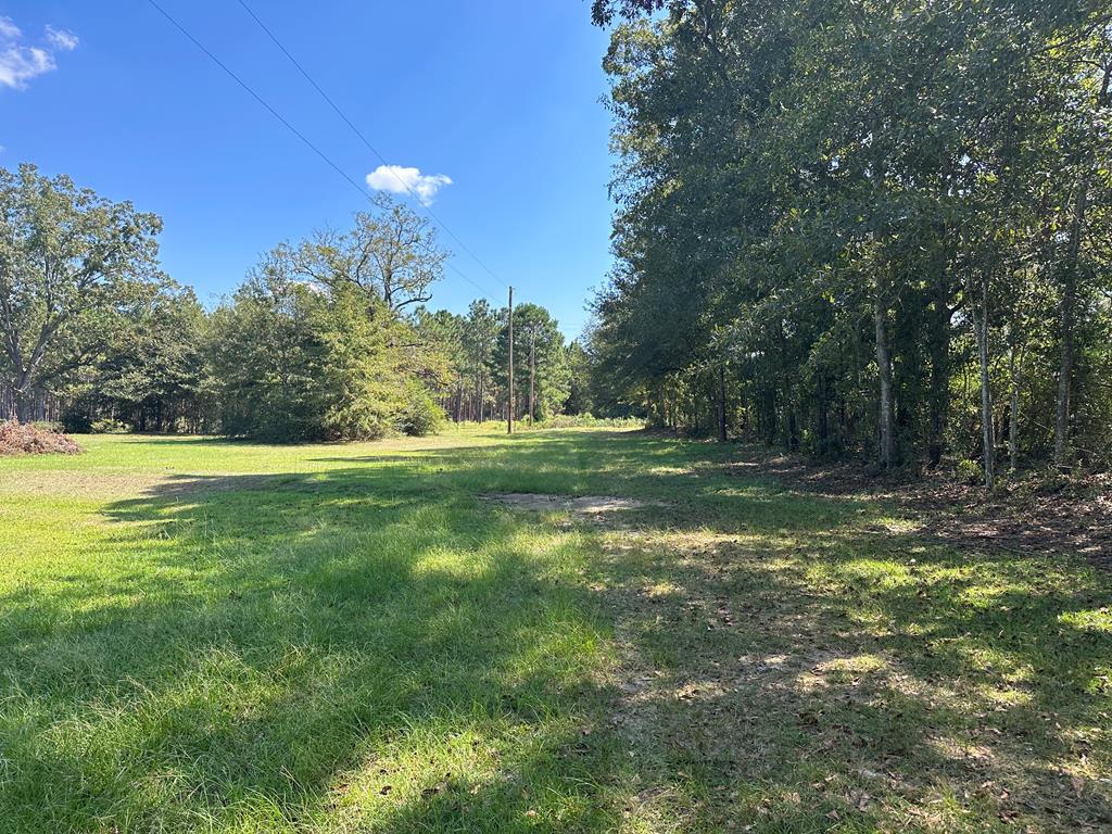1454 Middleton Road Dothan, AL 36301 - Photo 3 of 21