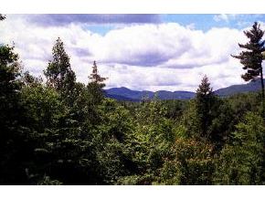 57 Holly Ridge Lane Conway, NH 03818 - Photo 1 of 1