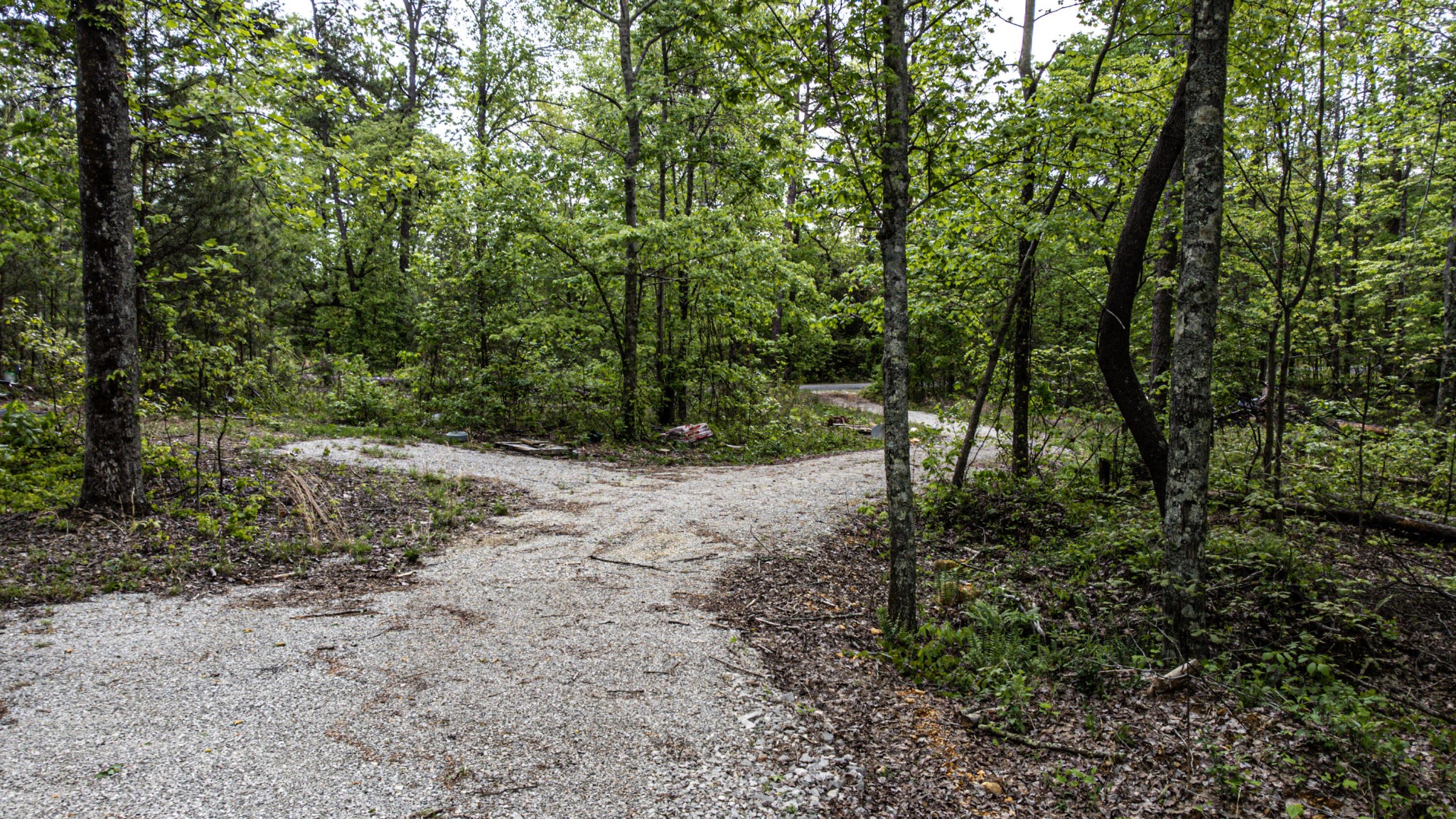0 Co Road Bridgeport, AL 35740 - Photo 14 of 27 Gallery Image 14