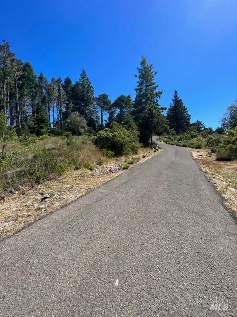 36018 Sea Ridge Road The Sea Ranch, CA 95497 - Photo 15 of 17