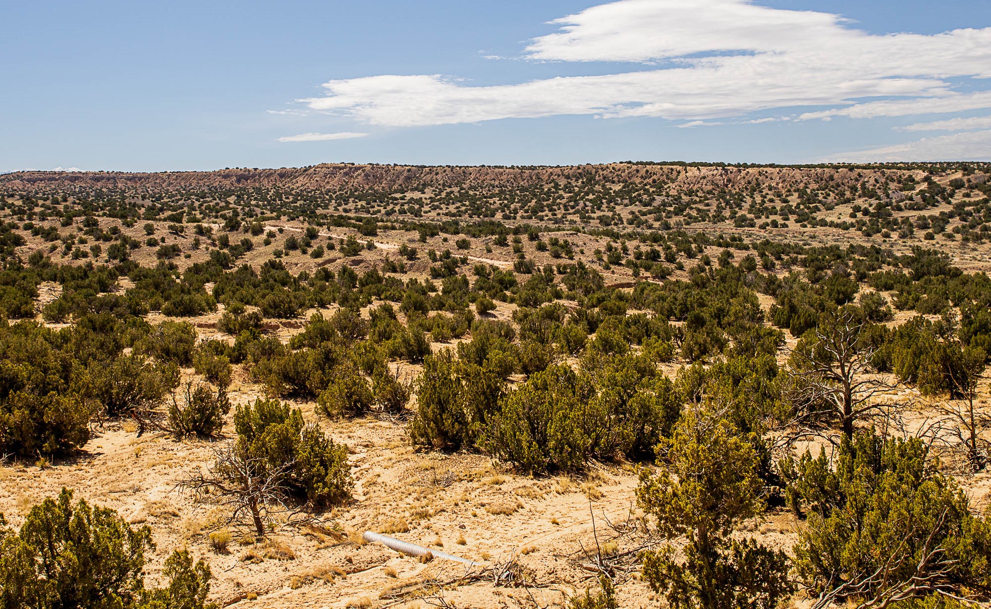 0 El Rito Estates Abiquiu, NM 87510 - Photo 10 of 56