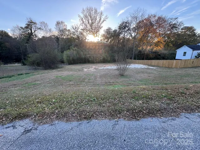 a view of a yard with a large tree