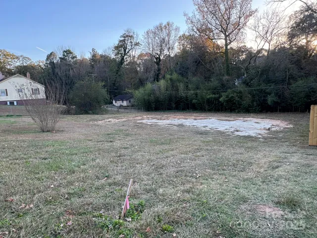a big yard with lots of green space
