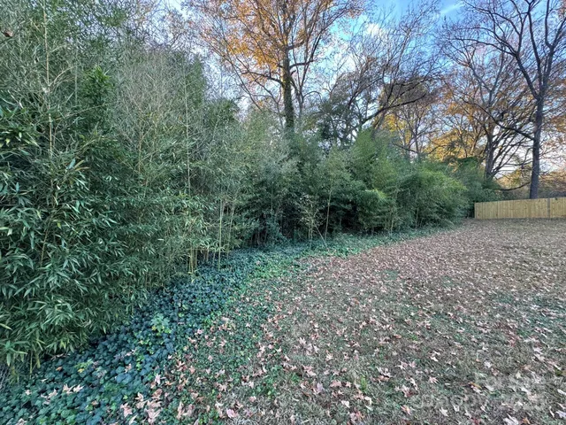 a view of outdoor space and trees