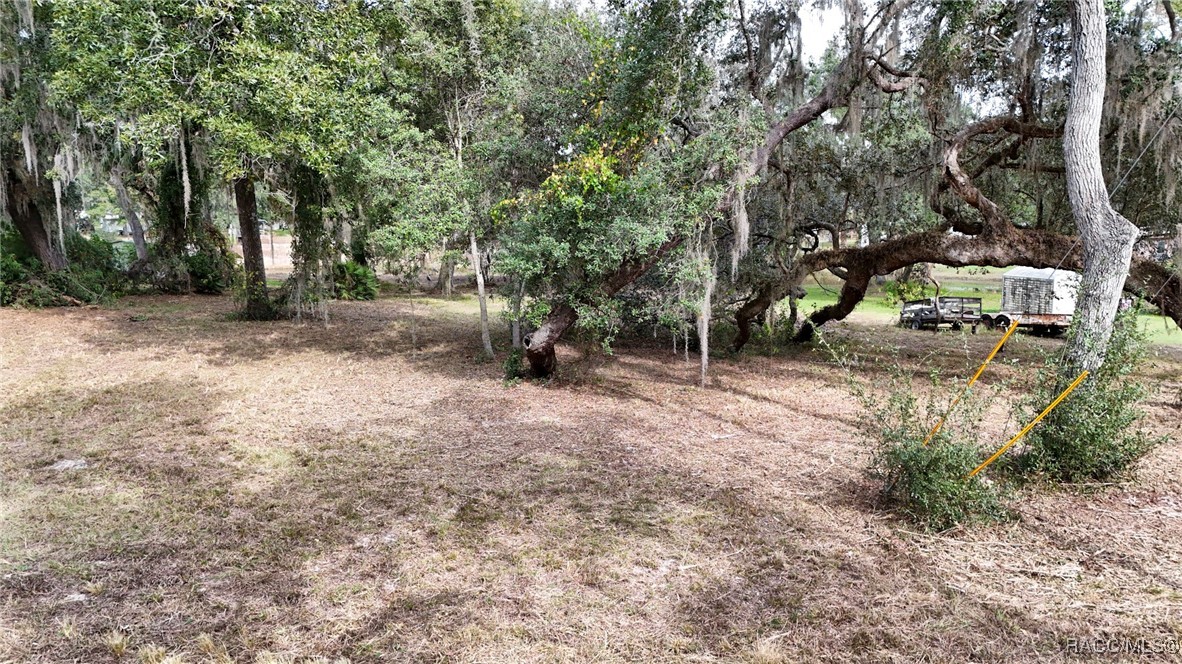 7857 East Wisp Trail Inverness, FL 34453 - Photo 3 of 26