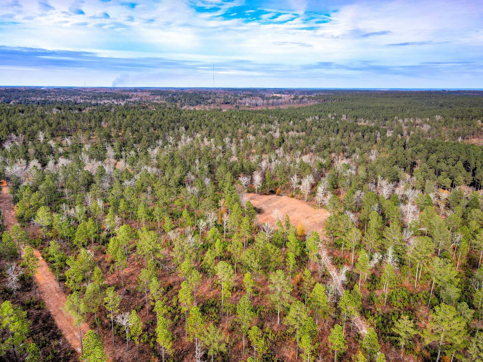 0 Deer Run Road, Unit B Williston, SC 29853 - Photo 16 of 19 Gallery Image 16