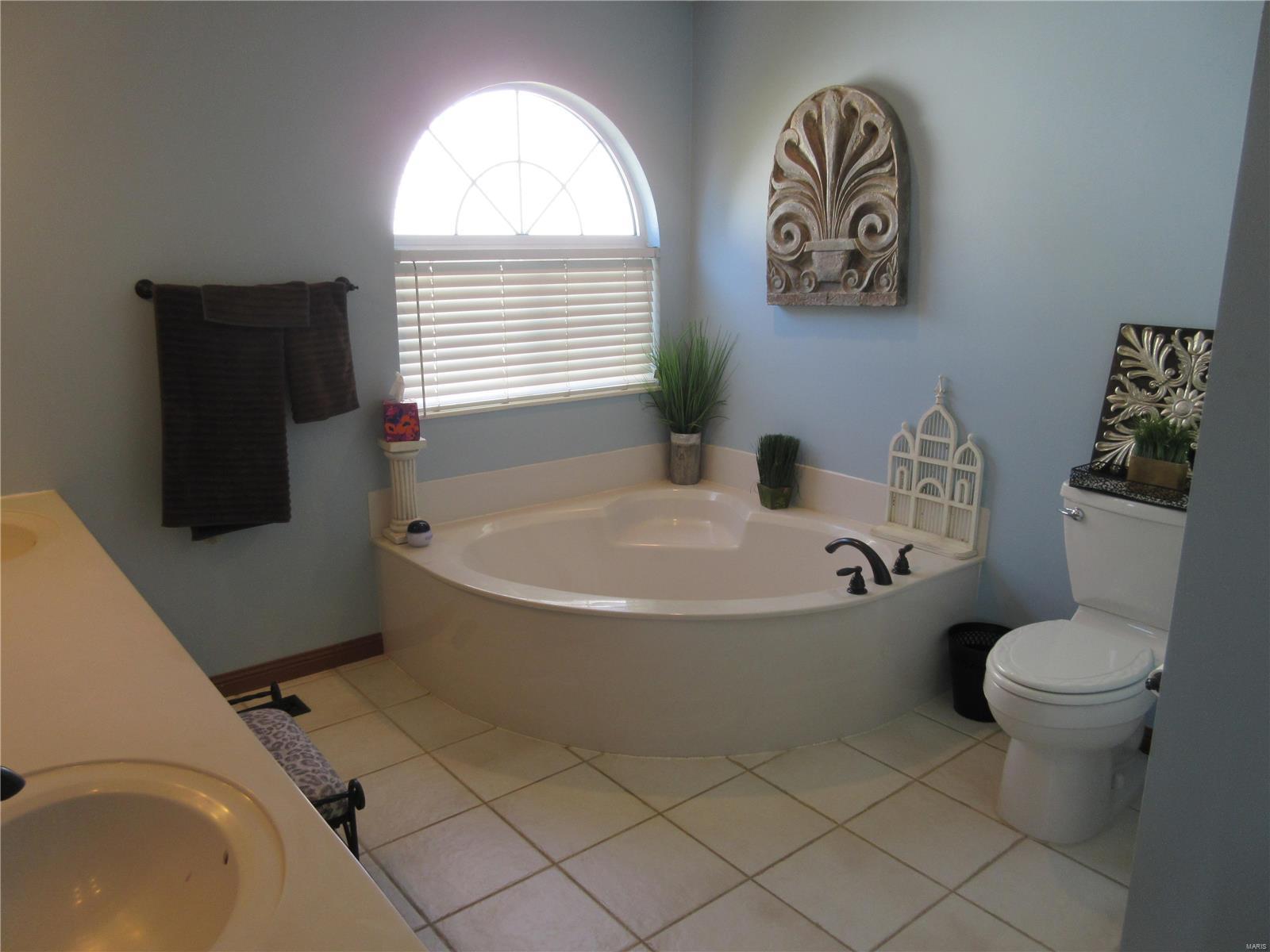 1251 Fox Ridge Court Shiloh, IL 62221 - Photo 17 of 32 Gallery Image 17