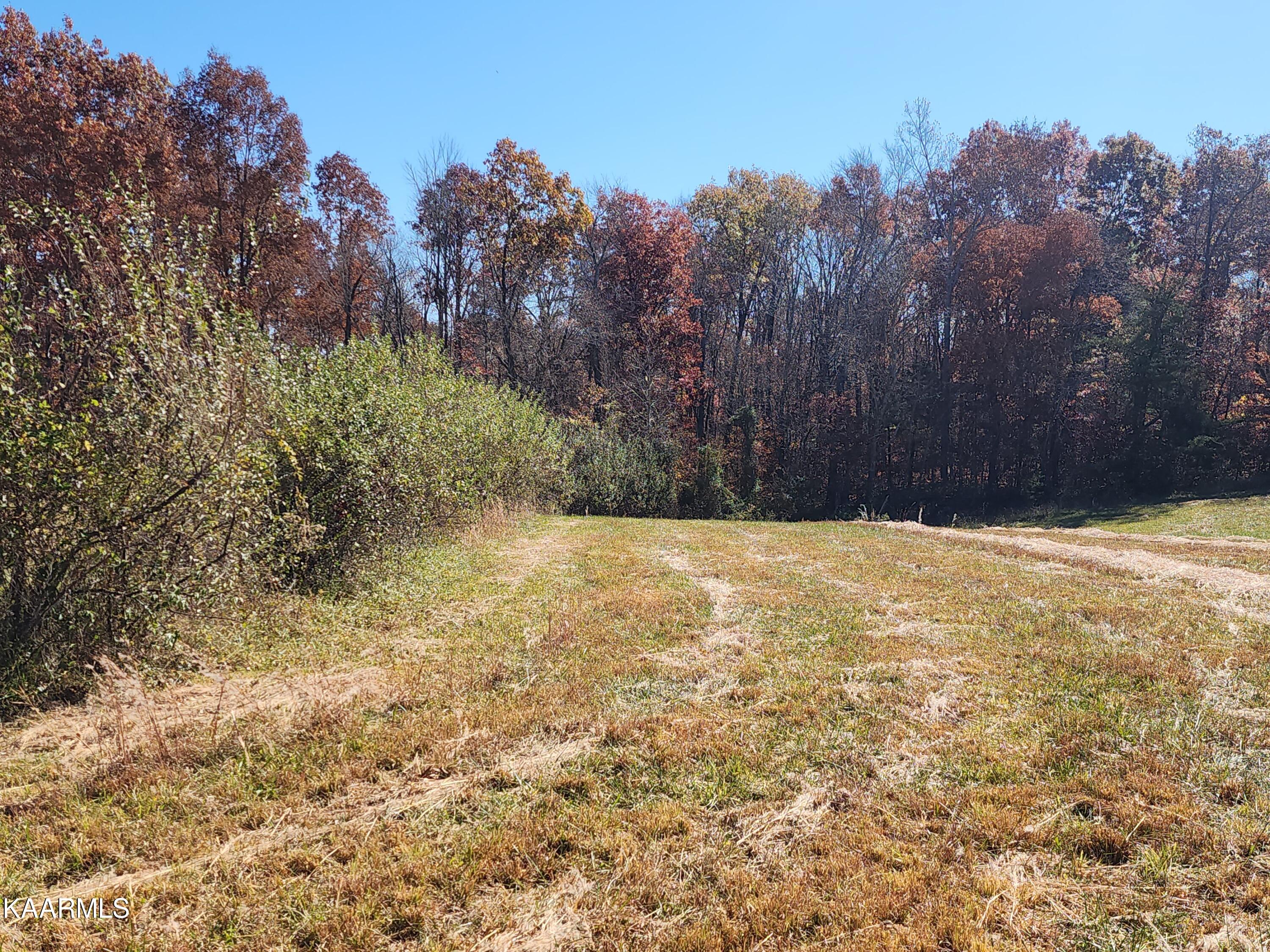 Nydeck Road Robbins, TN 37852 - Photo 9 of 16 20221024_123610