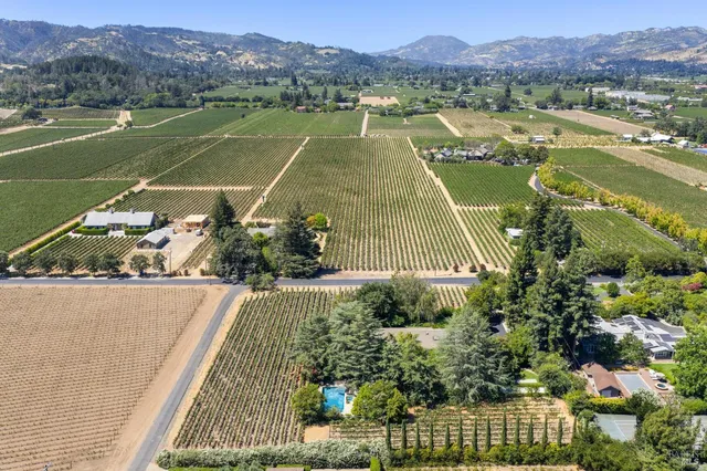 a view of a lush green field with a tree in the background