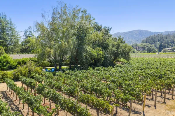 $13,000 | 1819 Zinfandel Lane, St. Helena, CA 94574