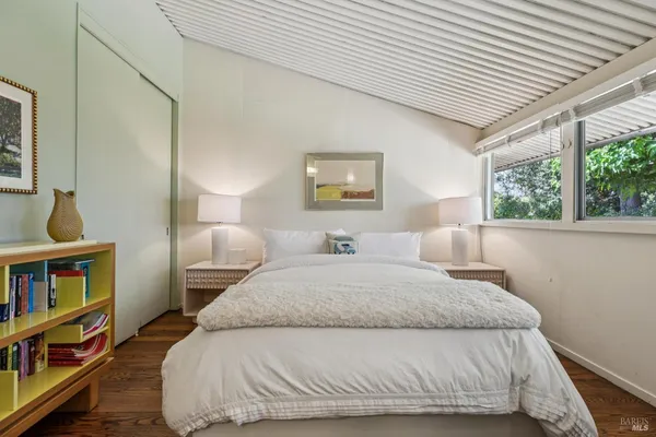 a view of a park with a tree