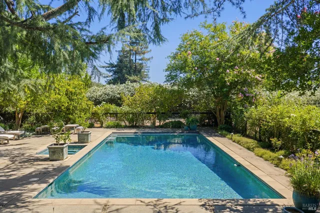 a view of a park with large trees