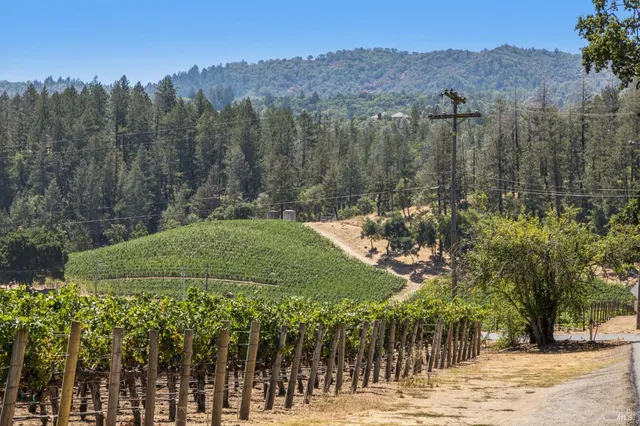 $13,000 | 1819 Zinfandel Lane, St. Helena, CA 94574