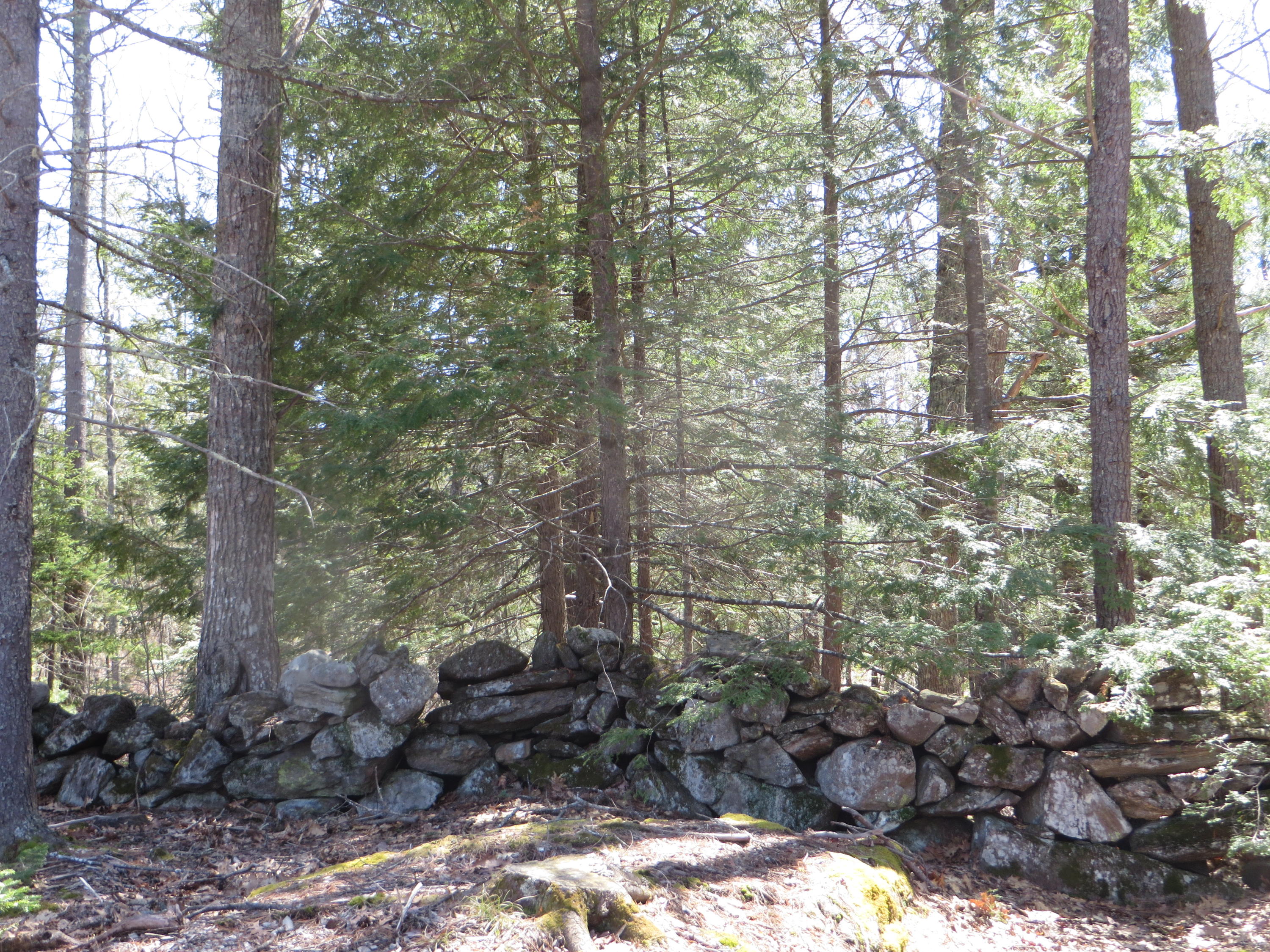 Lot57-10 Winterberry Road West Bath, ME 04530 - Photo 19 of 24 17