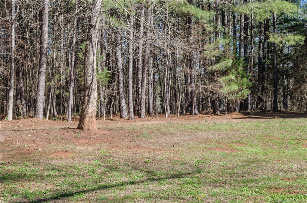2110 State Rd S-46-168, Unit 25 York, SC 29745 - Photo 18 of 31 a backyard of a house with large trees