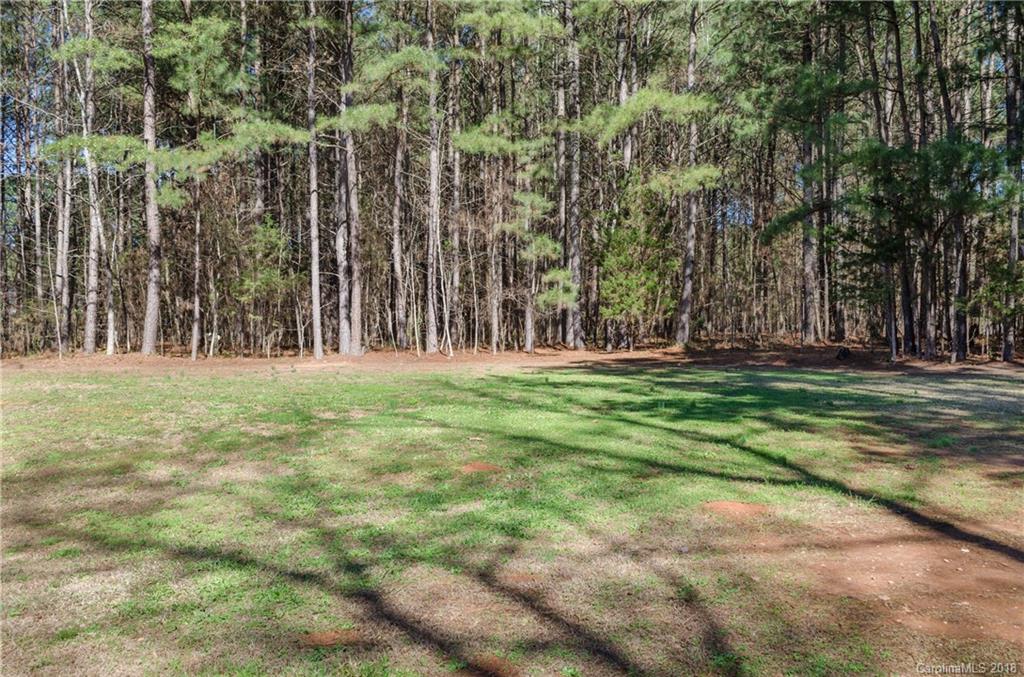 2110 State Rd S-46-168, Unit 25 York, SC 29745 - Photo 21 of 31 a backyard of a house with lots of green space and trees