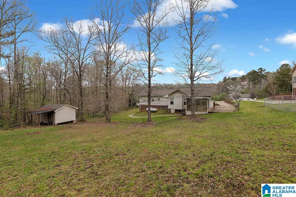 178 Dorr Road Oneonta, AL 35121 - Photo 17 of 18