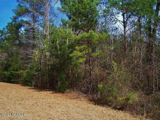 Lot 108 Blewett Falls Road Rockingham, NC 28379 - Photo 1 of 14 front view