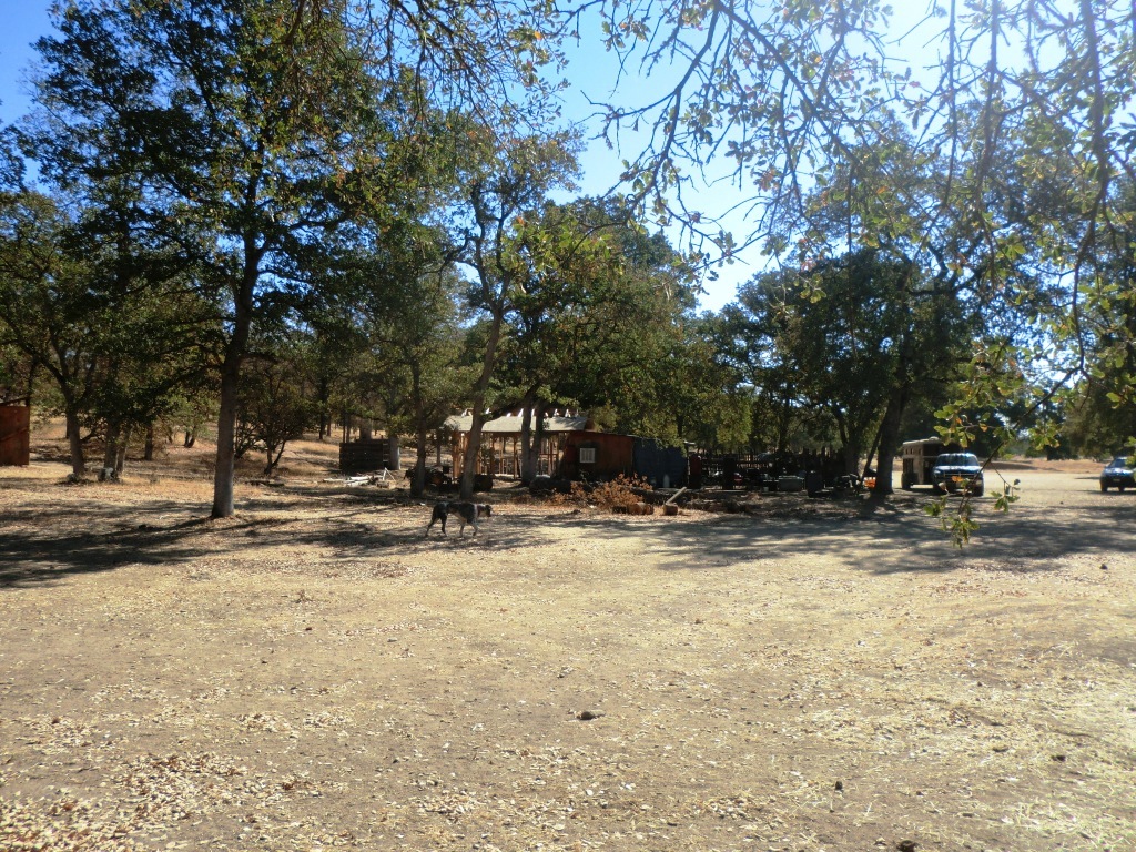 CIMG2545