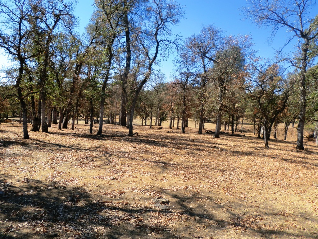 Two 2 Feathers Road Cottonwood, CA 96022 - Photo 10 of 12 CIMG2544