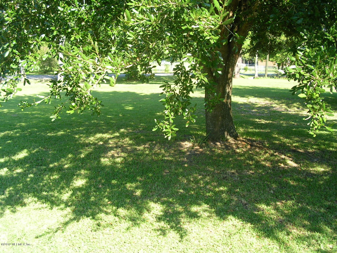 9945 Paxton Road Jacksonville, FL 32219 - Photo 13 of 13 Front yard