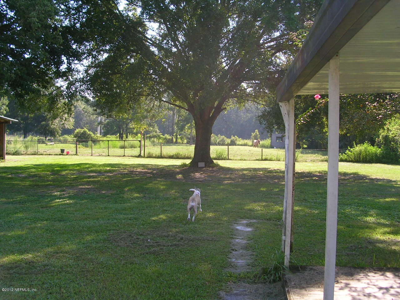9945 Paxton Road Jacksonville, FL 32219 - Photo 8 of 13 Horse Pasture