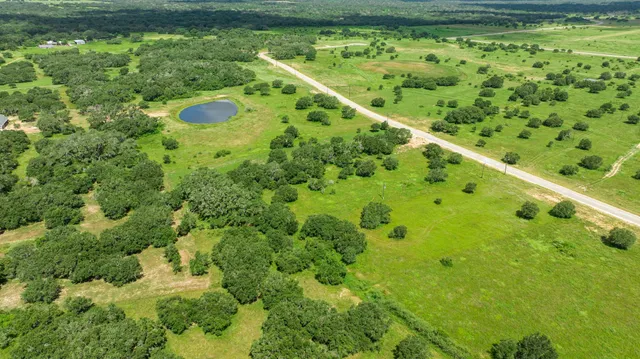 a view of a garden with a lush green forest