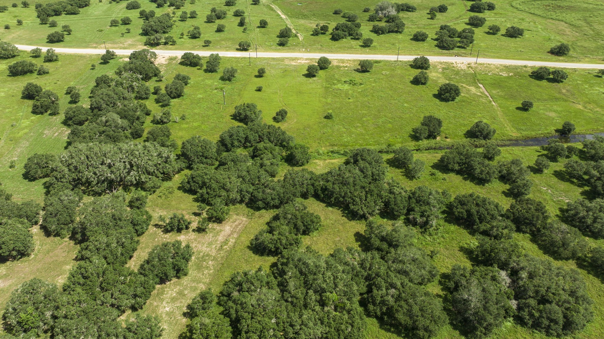 381 Gadwall Lane Columbus, TX 78934 - Photo 4 of 6