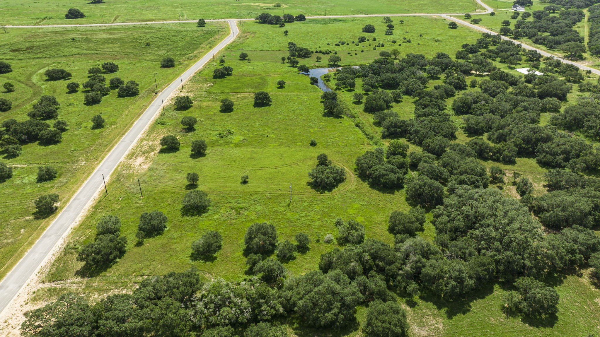 381 Gadwall Lane Columbus, TX 78934 - Photo 5 of 6 a view of a garden with a lush green forest