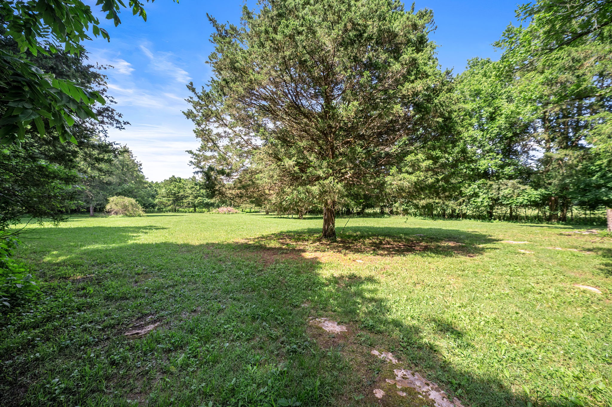 472 Shirley Road Smyrna, TN 37167 - Photo 23 of 27 Gallery Image 23