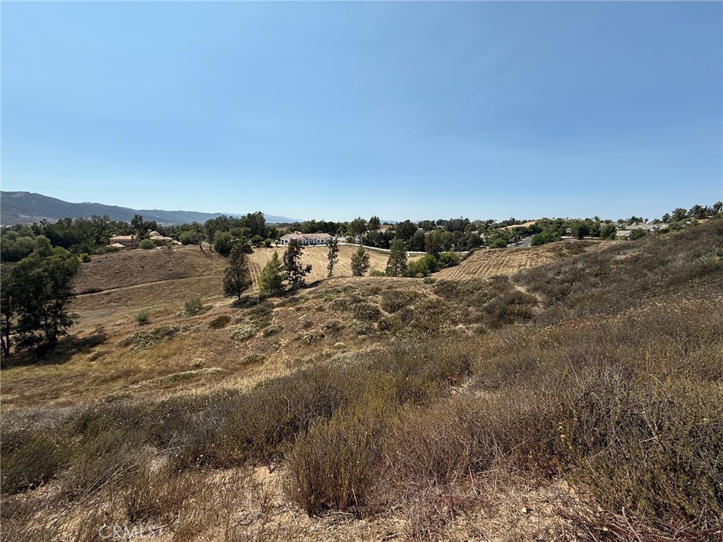 0 Paulita Road Temecula, CA 92592 - Photo 13 of 36 a view of a big yard with lots of trees