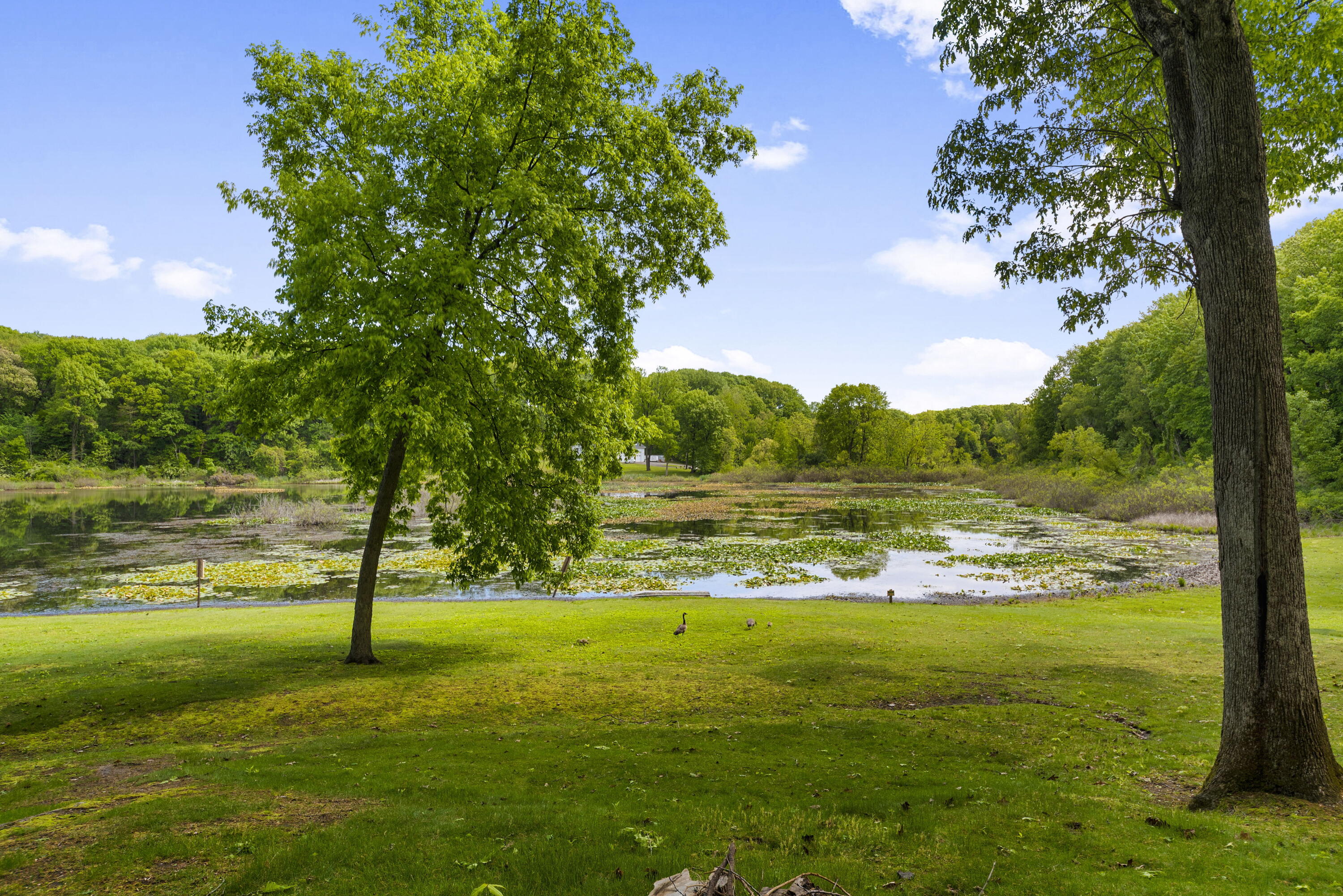 3611 West Waverly Road La Porte, IN 46350 - Photo 40 of 40 a view of a field with an trees