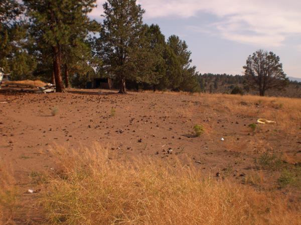 45718 Deer Springs Road Beatty, OR 97621 - Photo 1 of 10 Primary Photo
