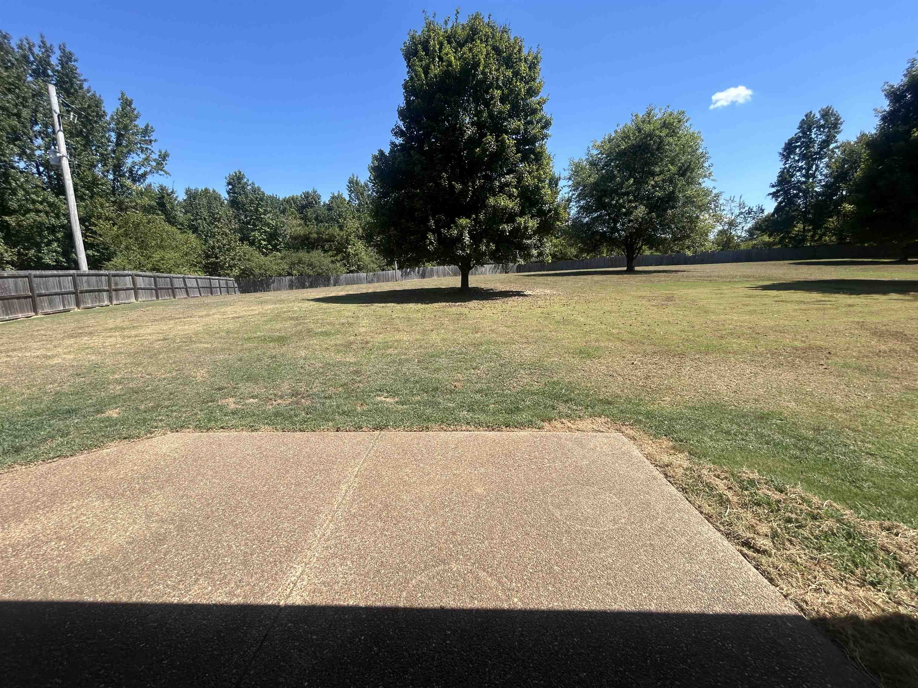 9958 Idaville Road Atoka, TN 38004 - Photo 20 of 20 View of yard