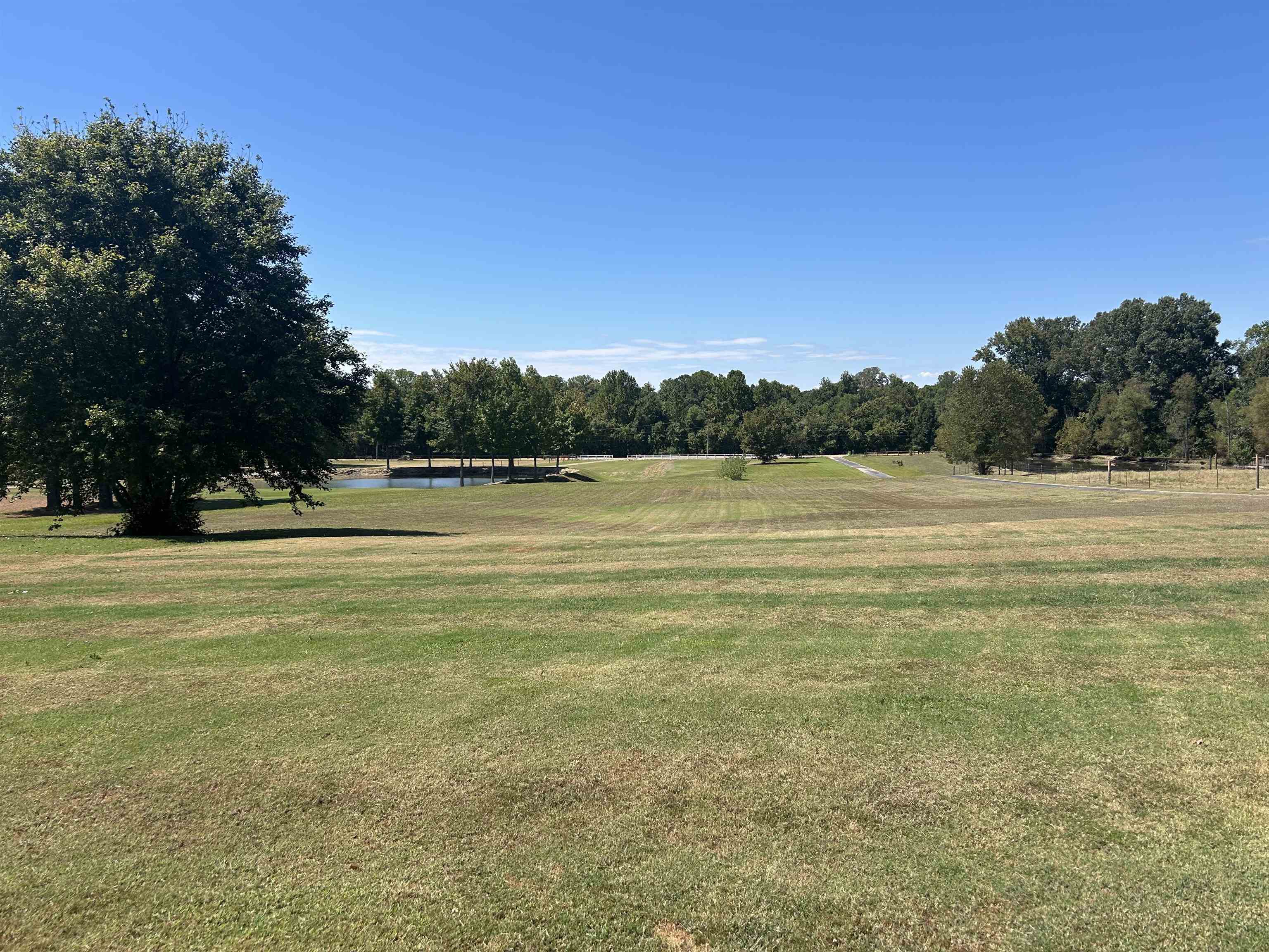 9958 Idaville Road Atoka, TN 38004 - Photo 2 of 20 View of grassy yard with a water view and a rural view