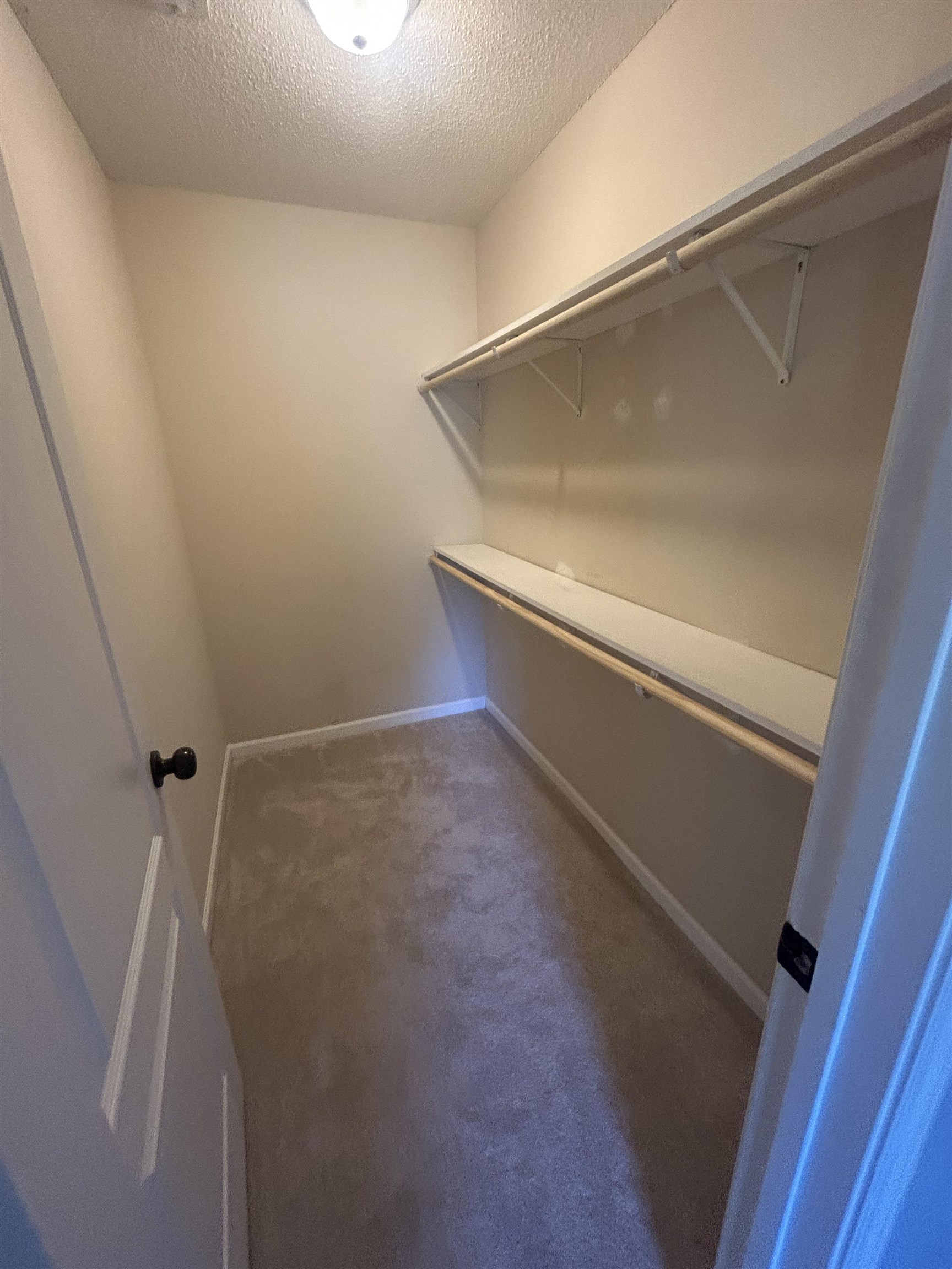 9958 Idaville Road Atoka, TN 38004 - Photo 9 of 20 Spacious closet with dark carpet