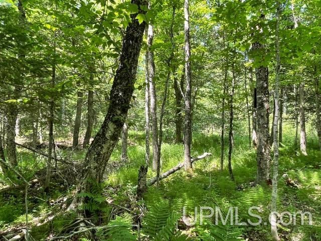6255 Duck Lake Road Florence, WI 54121 - Photo 56 of 57 Gallery Image 56