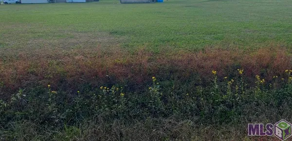 $14,500 | Lot 13 Roy Street, Plattenville, LA 70393