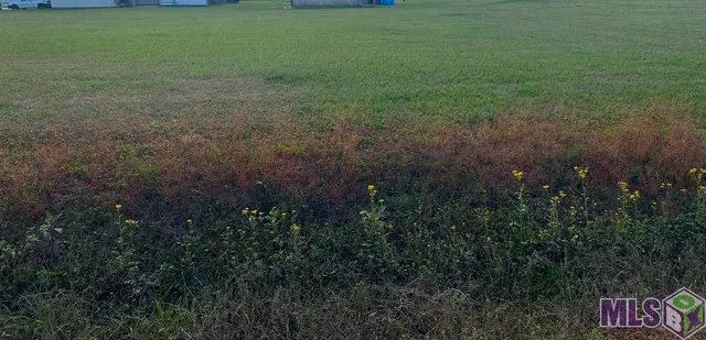 $14,500 | Lot 13 Roy Street, Plattenville, LA 70393