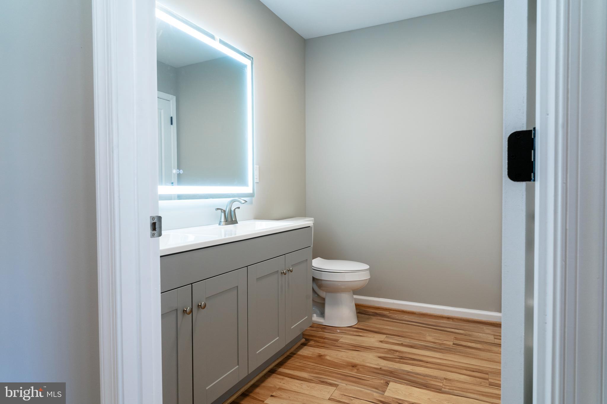 240 Deford Avenue Stanley, VA 22851 - Photo 42 of 60 a bathroom with a sink and a toilet