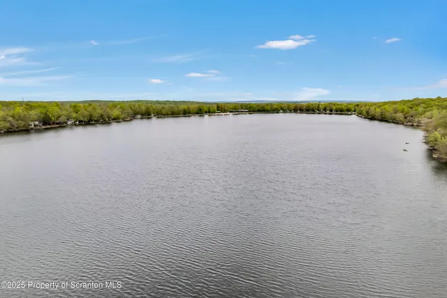a view of a swimming pool with a yard