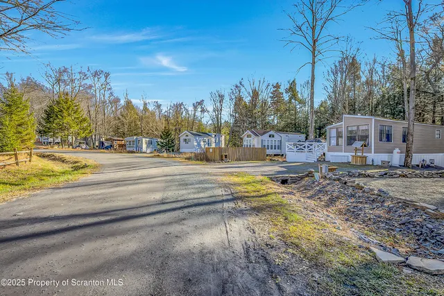 a view of a swimming pool with a yard and trees