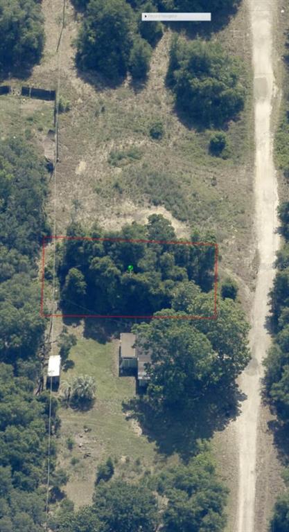 2808 Van Buren Street Inverness, FL 34453 - Photo 1 of 18 a view of a yard