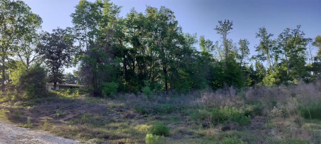 2808 Van Buren Street Inverness, FL 34453 - Photo 12 of 18 a view of a forest