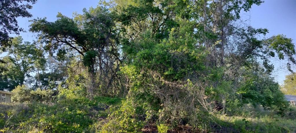 2808 Van Buren Street Inverness, FL 34453 - Photo 18 of 18 an aerial view of residential house with outdoor space and trees all around