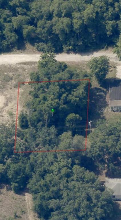 2808 Van Buren Street Inverness, FL 34453 - Photo 4 of 18 a view of a yard with green space