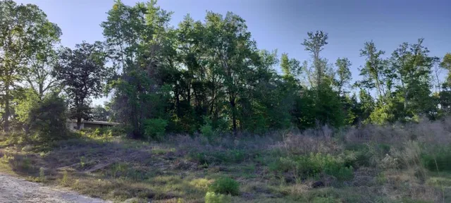 a view of a dry yard with trees in the background